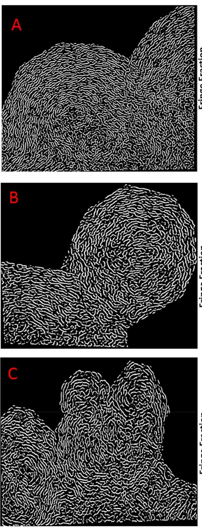 HRTEM fringe analysis of soot particles